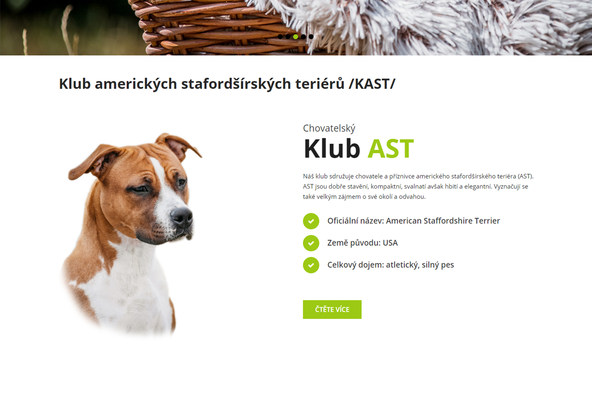 Klubast-4