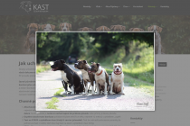 Klubast-8